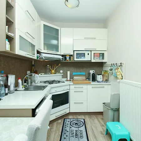 992 - Balatonőszödön Közvetlen Vízparti, Teljes Panorámás Apartman Balatonőszöd